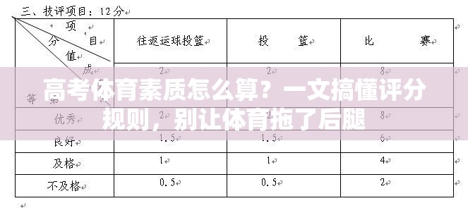 高考体育素质怎么算？一文搞懂评分规则，别让体育拖了后腿