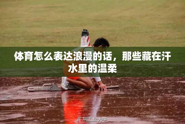体育怎么表达浪漫的话，那些藏在汗水里的温柔