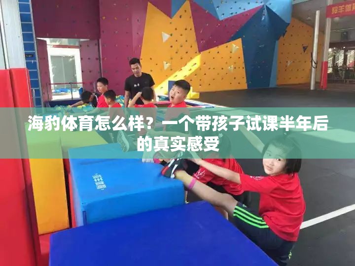 海豹体育怎么样？一个带孩子试课半年后的真实感受