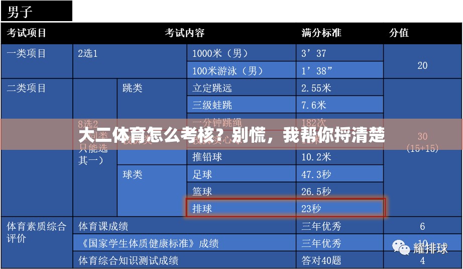 大二体育怎么考核？别慌，我帮你捋清楚