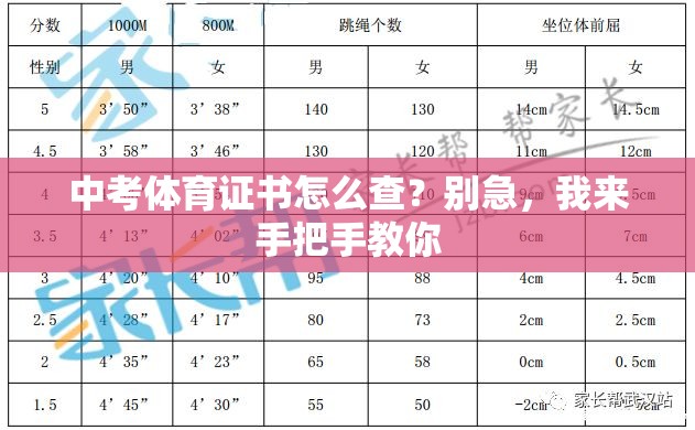 中考体育证书怎么查？别急，我来手把手教你