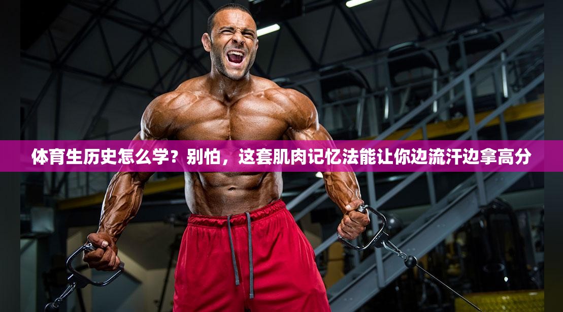 体育生历史怎么学？别怕，这套肌肉记忆法能让你边流汗边拿高分