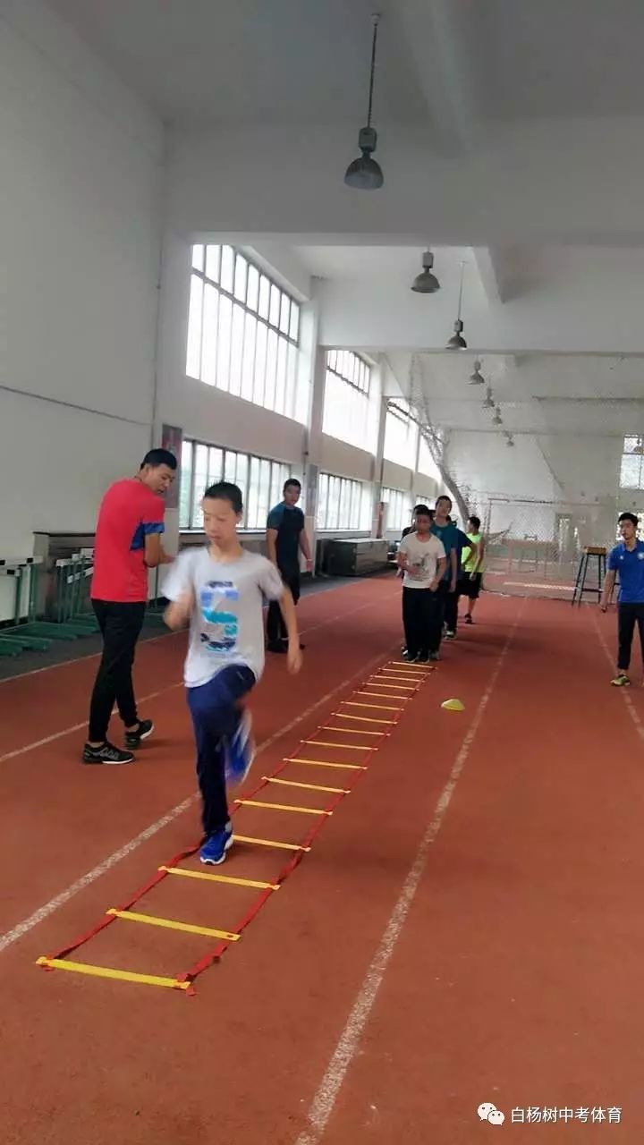 中考体育优秀怎么训练?别慌,咱们一步步来 中考体育优秀怎么训练?别慌,咱们一步步来