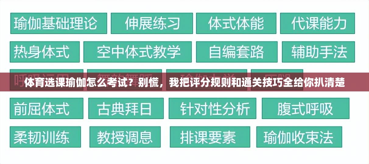 体育选课瑜伽怎么考试？别慌，我把评分规则和通关技巧全给你扒清楚