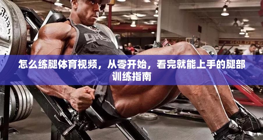 怎么练腿体育视频，从零开始，看完就能上手的腿部训练指南