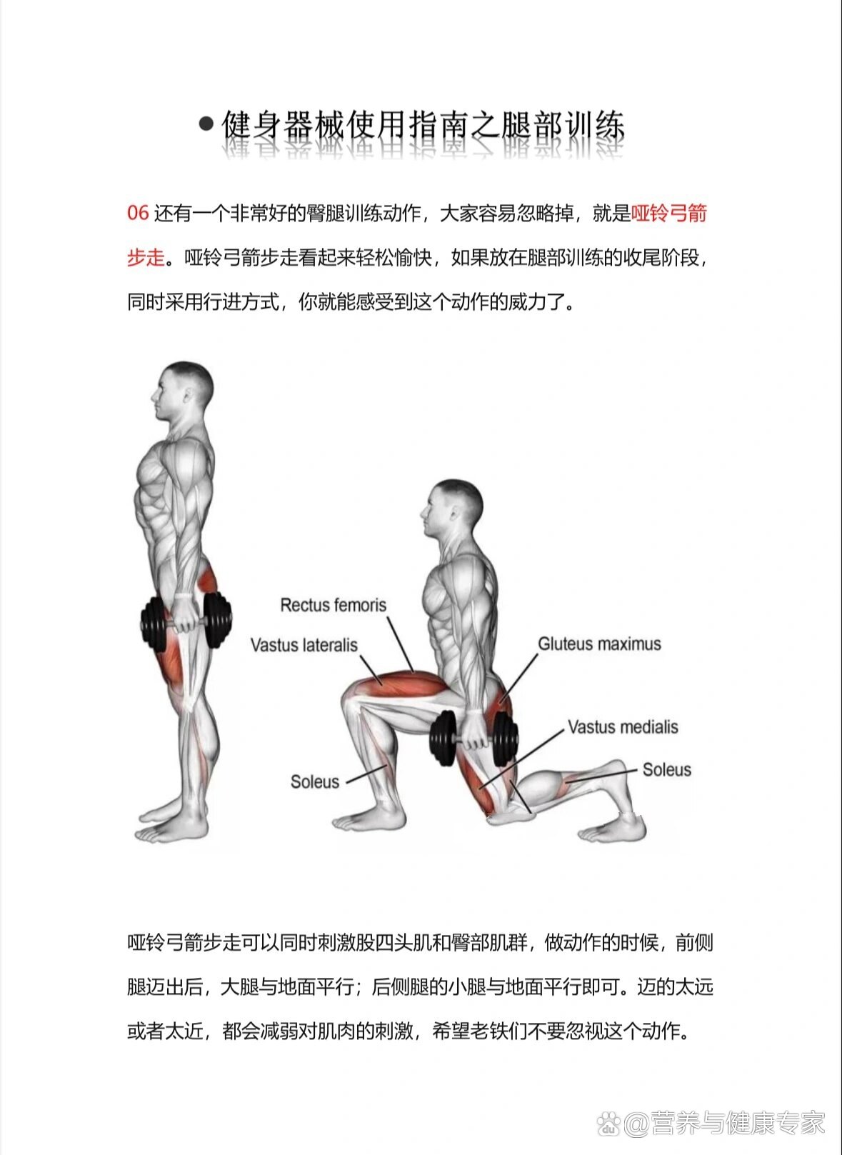 怎么练腿体育视频，从零开始，看完就能上手的腿部训练指南