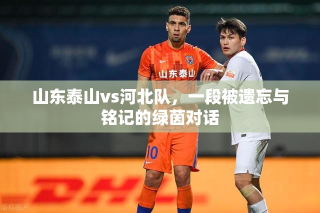 山东泰山vs河北队，一段被遗忘与铭记的绿茵对话