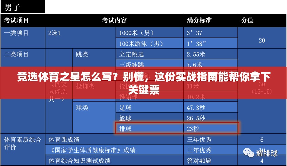 竞选体育之星怎么写？别慌，这份实战指南能帮你拿下关键票