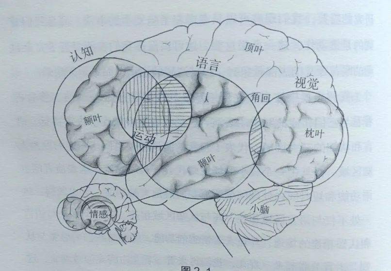头脑和体育怎么表达,当智商遇上汗水,这才是真正的脑体双修 头脑和体育怎么表达,当智商遇上汗水,这才是真正的脑体双修