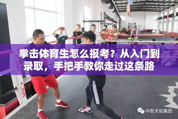 拳击体育生怎么报考？从入门到录取，手把手教你走过这条路