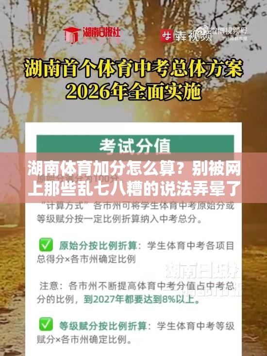 湖南体育加分怎么算？别被网上那些乱七八糟的说法弄晕了，这篇给你讲透