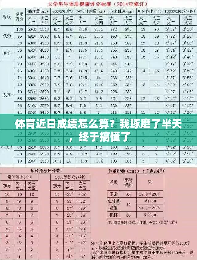 体育近日成绩怎么算？我琢磨了半天，终于搞懂了