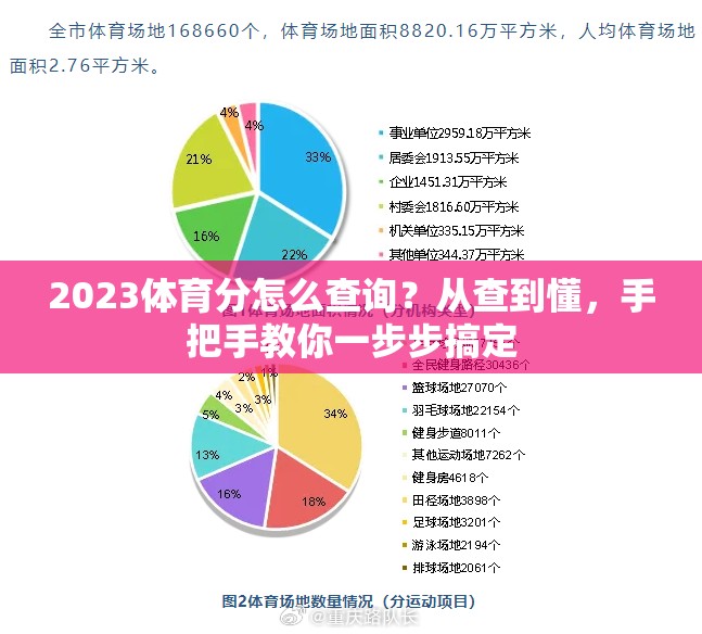 2023体育分怎么查询？从查到懂，手把手教你一步步搞定