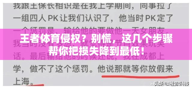 王者体育侵权？别慌，这几个步骤帮你把损失降到最低！