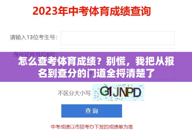 怎么查考体育成绩？别慌，我把从报名到查分的门道全捋清楚了