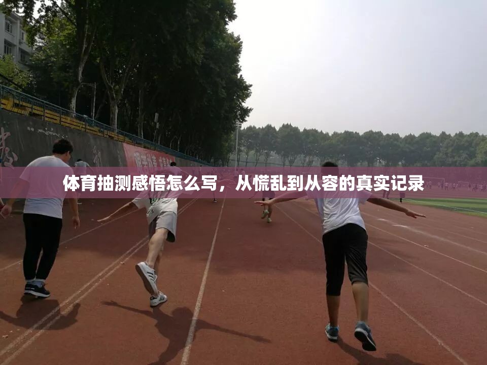 体育抽测感悟怎么写，从慌乱到从容的真实记录