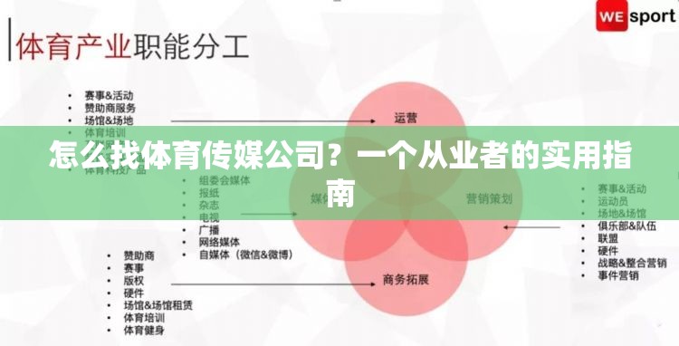 怎么找体育传媒公司？一个从业者的实用指南