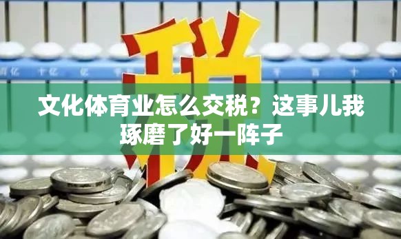 文化体育业怎么交税？这事儿我琢磨了好一阵子