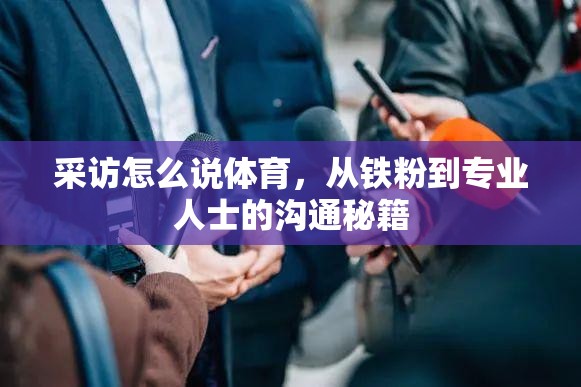 采访怎么说体育，从铁粉到专业人士的沟通秘籍