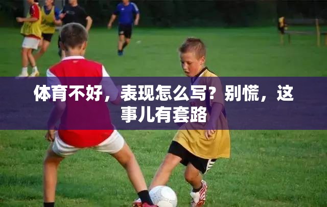 体育不好，表现怎么写？别慌，这事儿有套路
