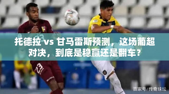 托德拉 vs 甘马雷斯预测，这场葡超对决，到底是稳赢还是翻车？