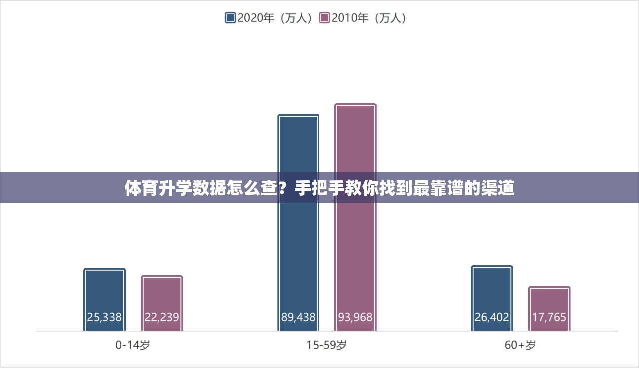 体育升学数据怎么查？手把手教你找到最靠谱的渠道