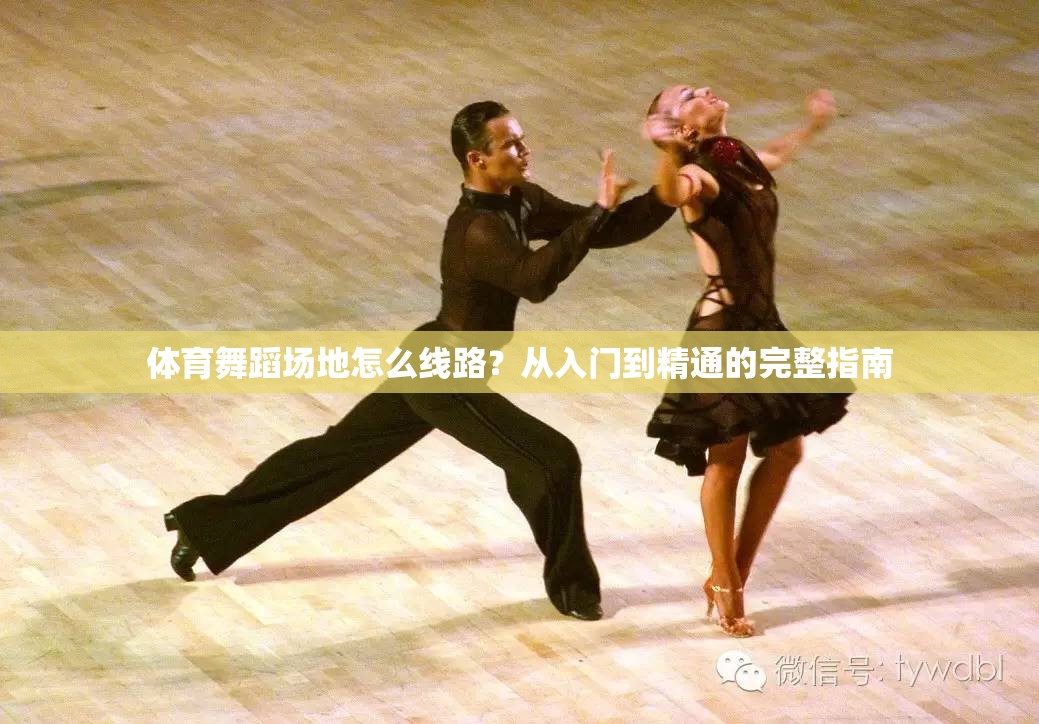 体育舞蹈场地怎么线路？从入门到精通的完整指南