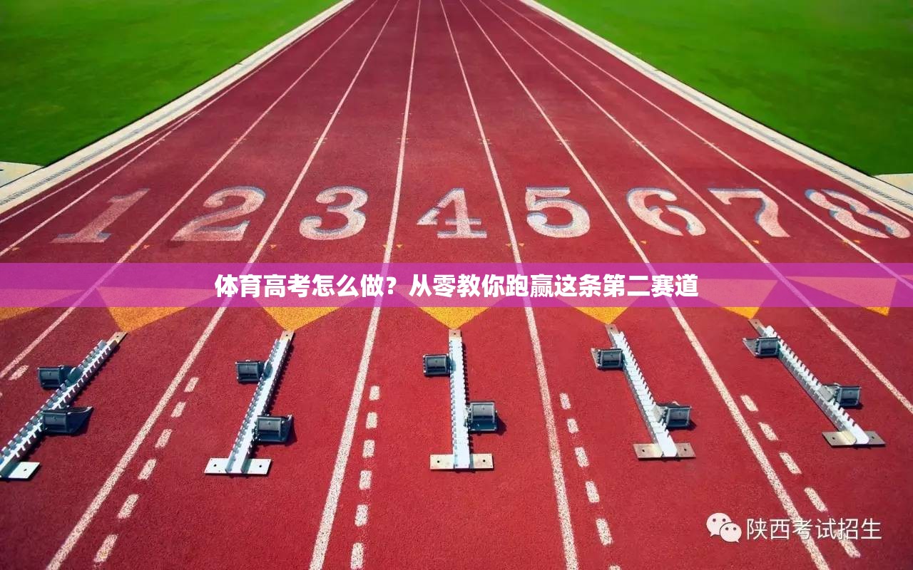 体育高考怎么做？从零教你跑赢这条第二赛道