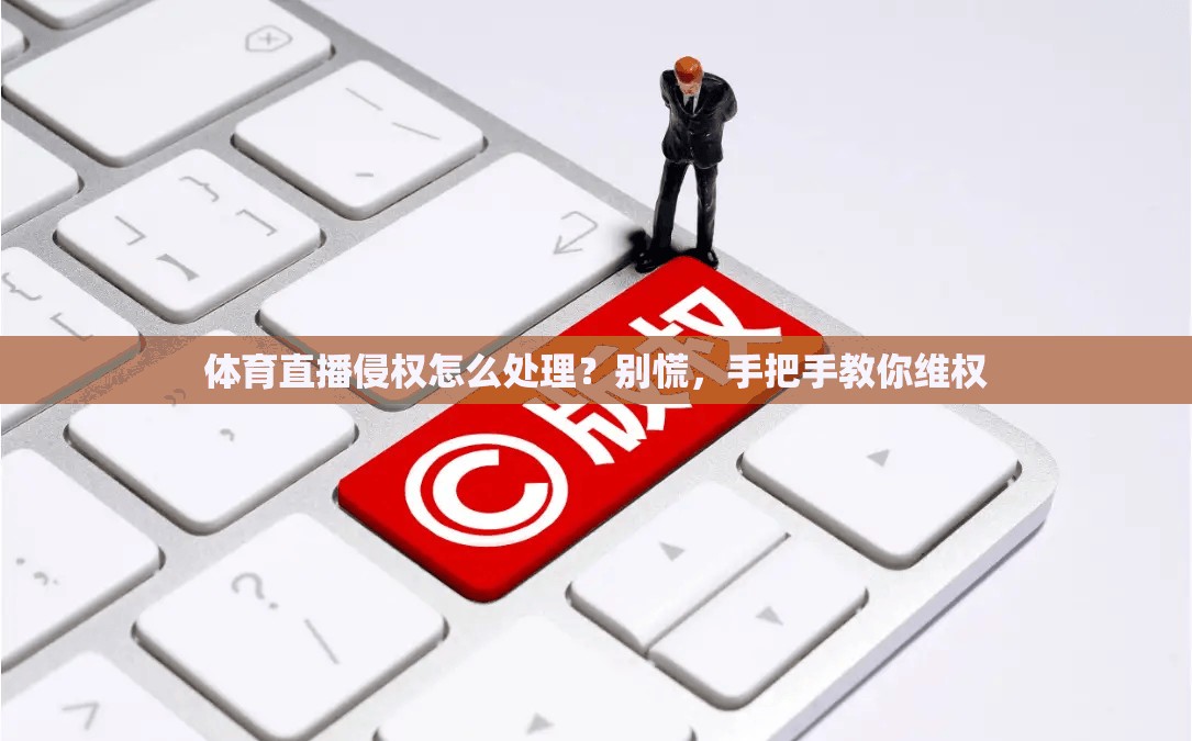 体育直播侵权怎么处理？别慌，手把手教你维权