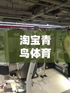 淘宝青鸟体育怎么没了？那个曾经的家门口的健身房，说关就关了