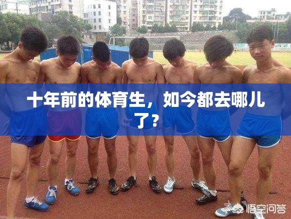 十年前的体育生，如今都去哪儿了？