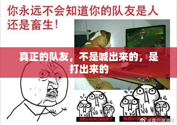 真正的队友，不是喊出来的，是打出来的