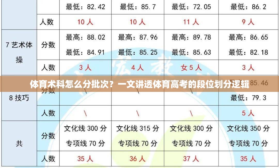 体育术科怎么分批次？一文讲透体育高考的段位划分逻辑