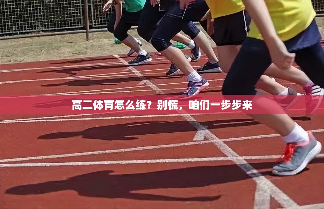 高二体育怎么练？别慌，咱们一步步来