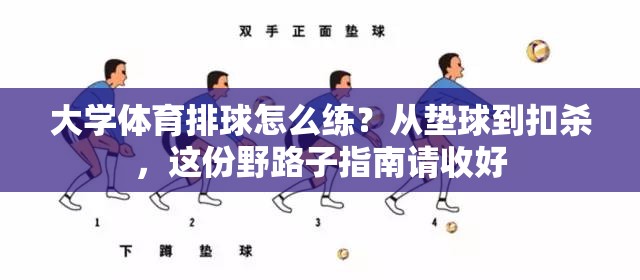 大学体育排球怎么练？从垫球到扣杀，这份野路子指南请收好