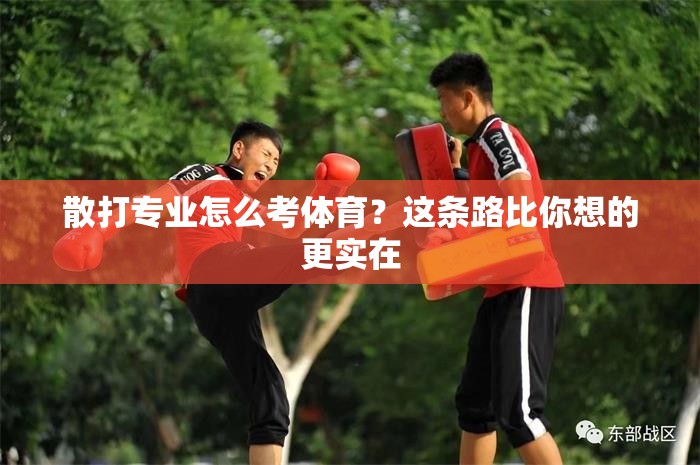 散打专业怎么考体育？这条路比你想的更实在