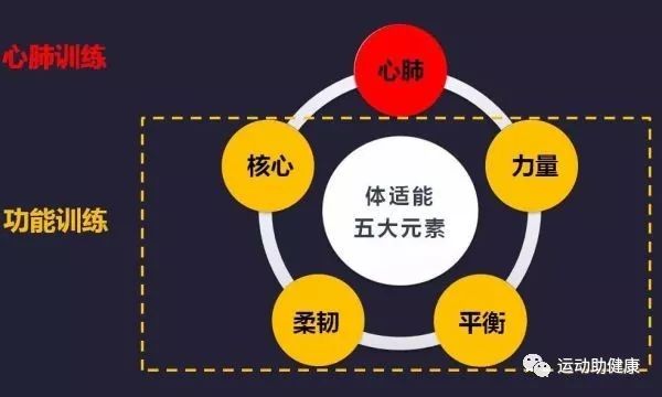 别急着加量！增强体育训练效果，先搞懂这三层逻辑