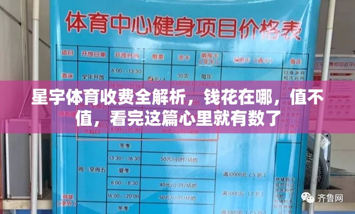 星宇体育收费全解析，钱花在哪，值不值，看完这篇心里就有数了