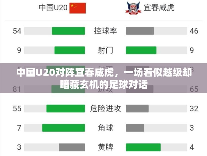 中国U20对阵宜春威虎，一场看似越级却暗藏玄机的足球对话