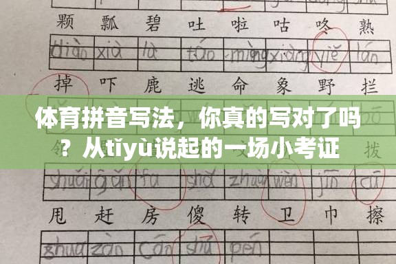体育拼音写法，你真的写对了吗？从tǐyù说起的一场小考证