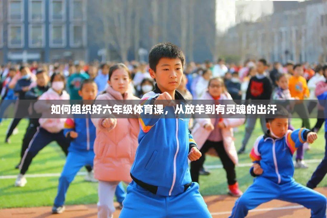 如何组织好六年级体育课，从放羊到有灵魂的出汗