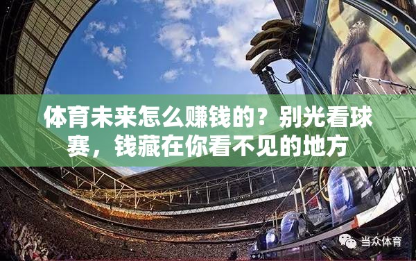 体育未来怎么赚钱的？别光看球赛，钱藏在你看不见的地方