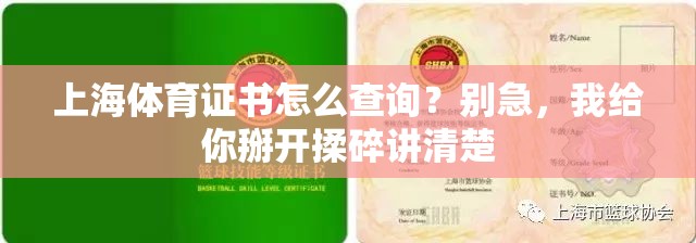 上海体育证书怎么查询？别急，我给你掰开揉碎讲清楚