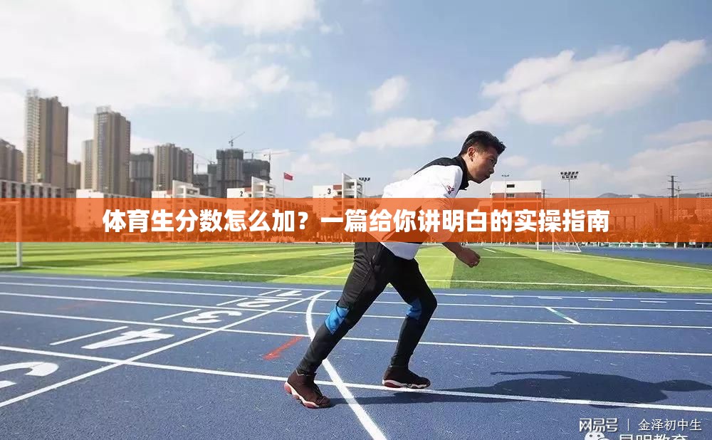 体育生分数怎么加？一篇给你讲明白的实操指南