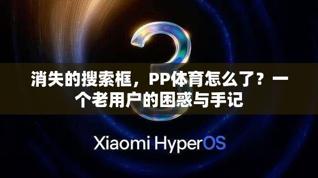 消失的搜索框，PP体育怎么了？一个老用户的困惑与手记