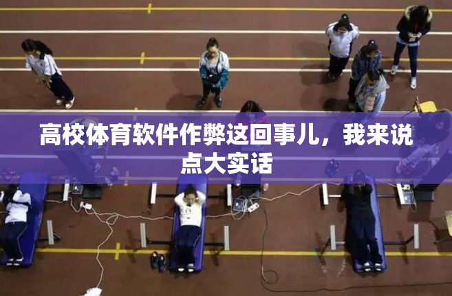 高校体育软件作弊这回事儿，我来说点大实话