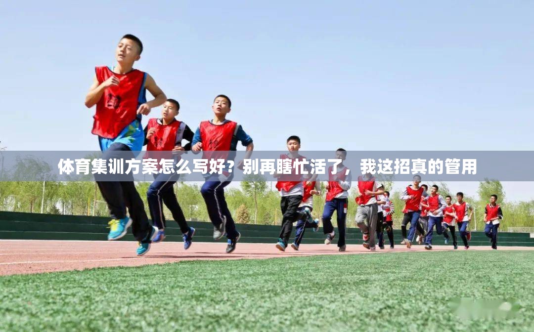 体育集训方案怎么写好？别再瞎忙活了，我这招真的管用