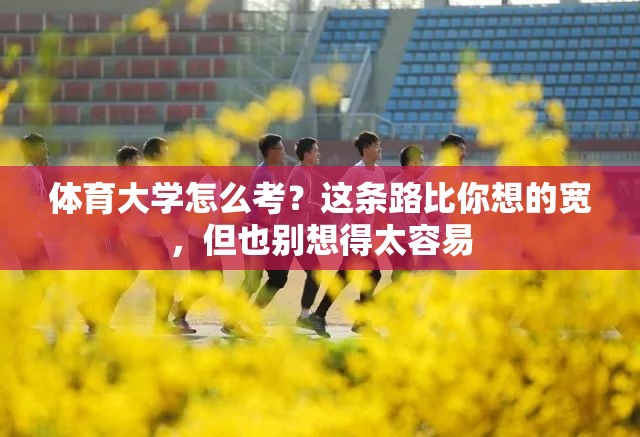 体育大学怎么考？这条路比你想的宽，但也别想得太容易