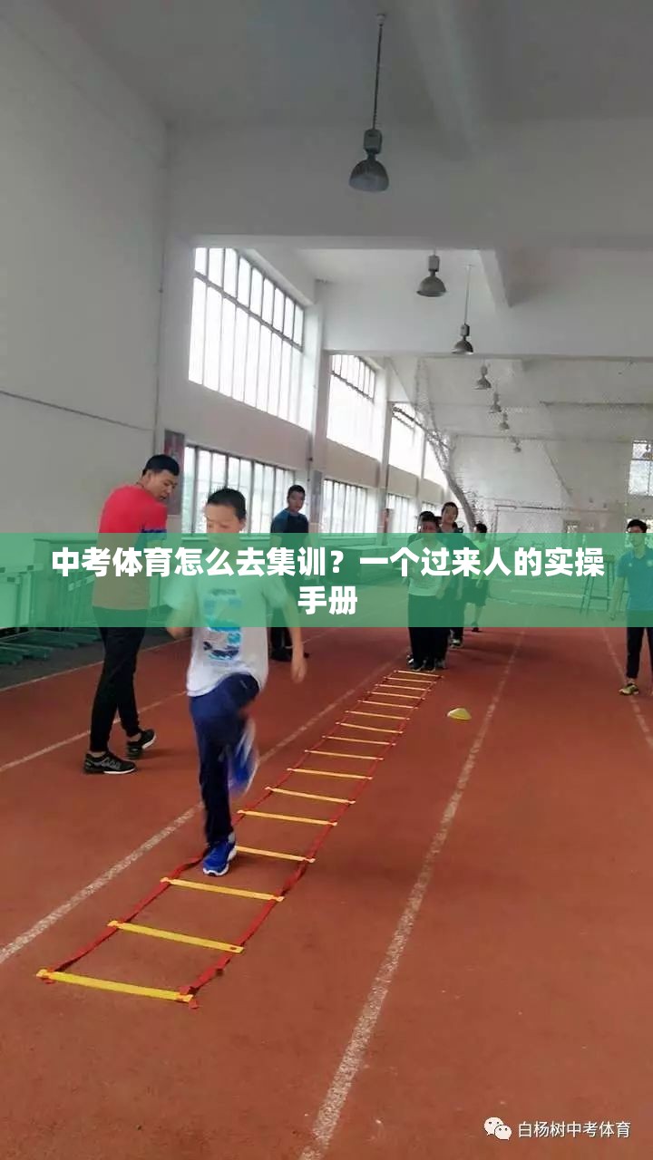 中考体育怎么去集训？一个过来人的实操手册