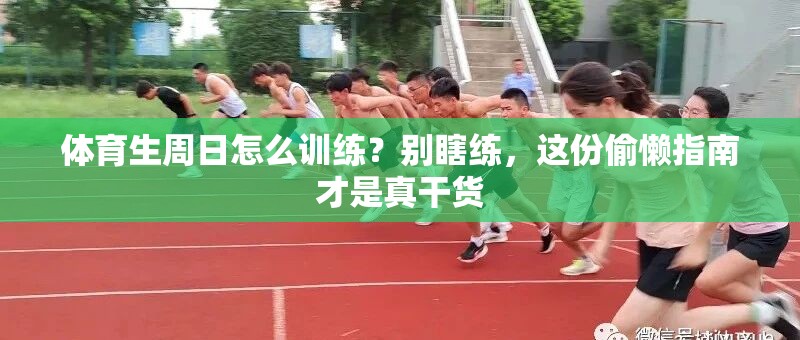 体育生周日怎么训练？别瞎练，这份偷懒指南才是真干货